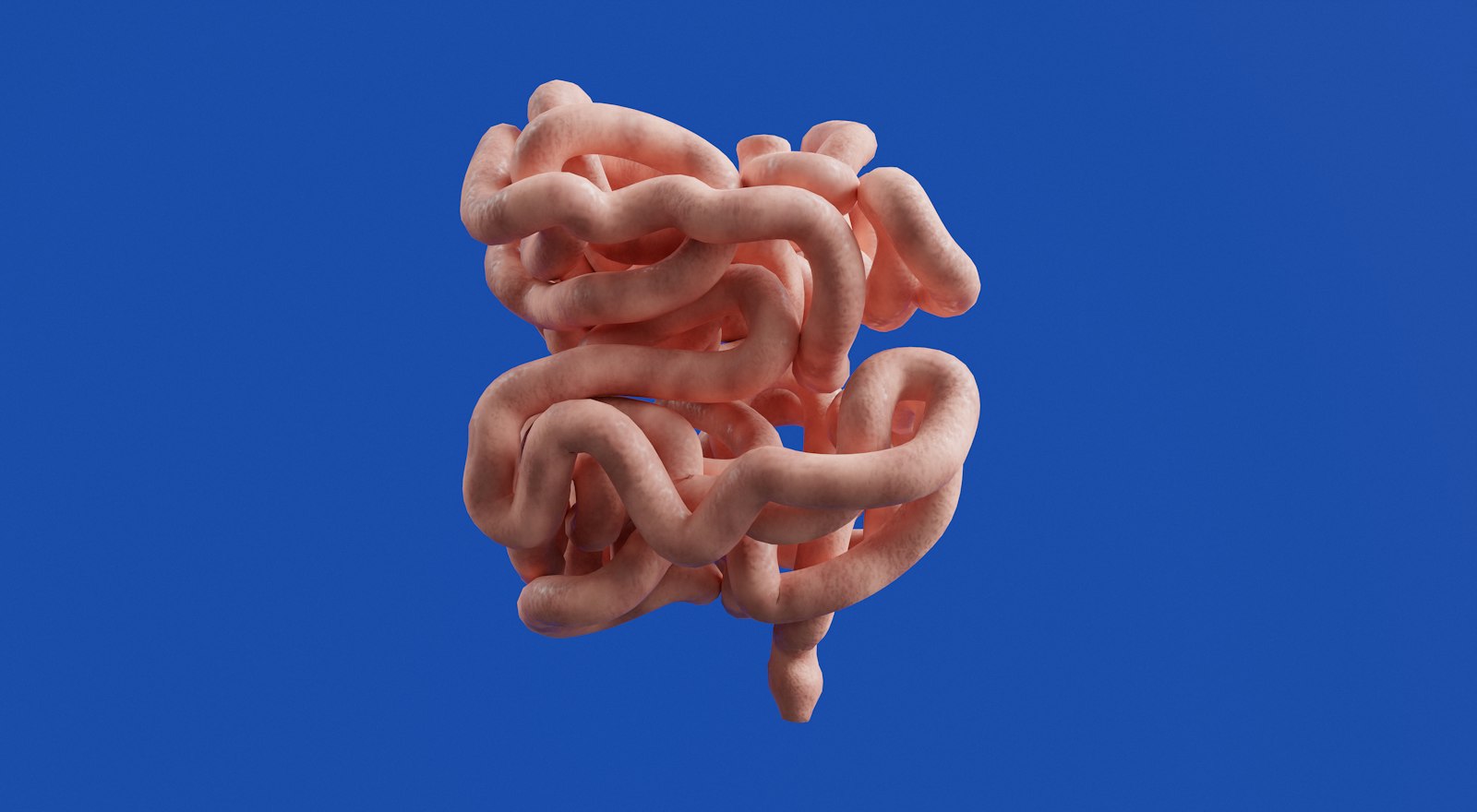 Does Gut-Brain Axis Actually Work? What the Science Says