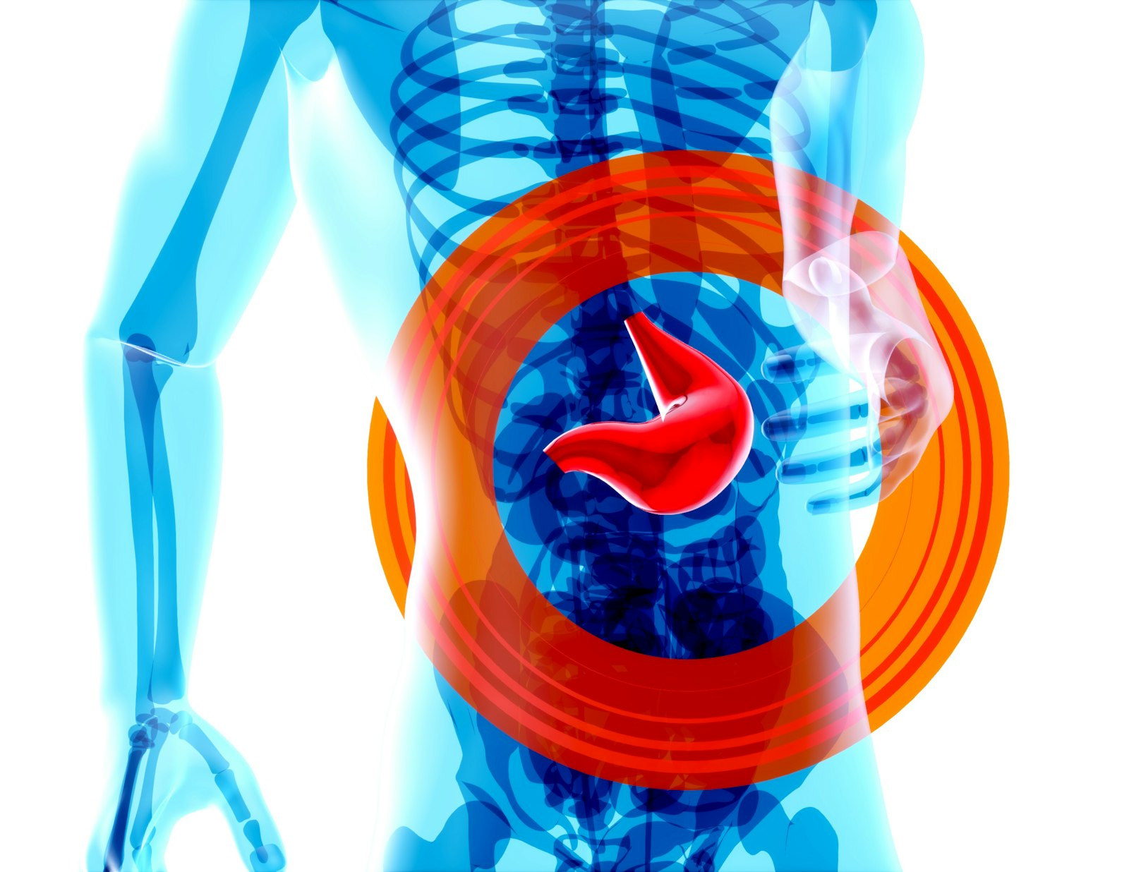 Does L-Glutamine For Gut Actually Work? What the Science Says