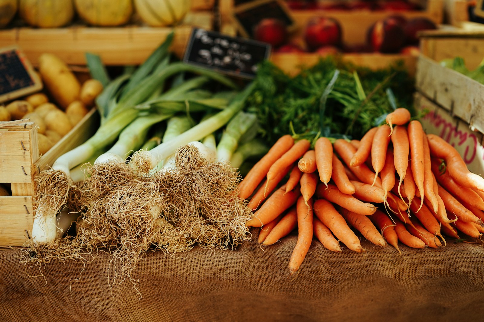 Does SIBO Actually Work? What the Science Says