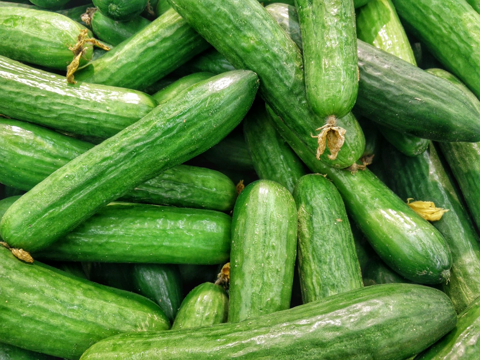 Fermented Foods: Benefits & Side Effects
