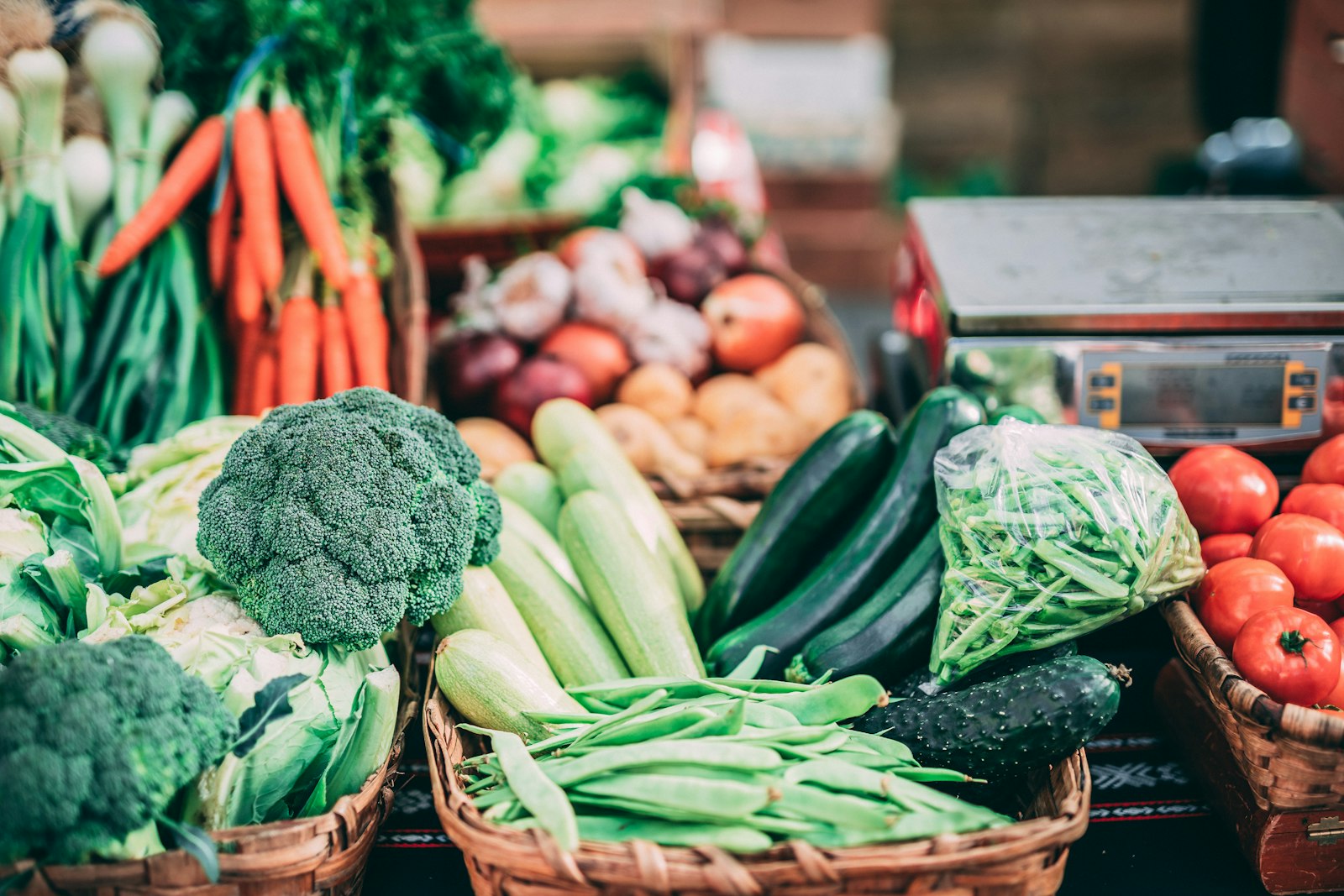 How to Improve Your Gut Microbiome