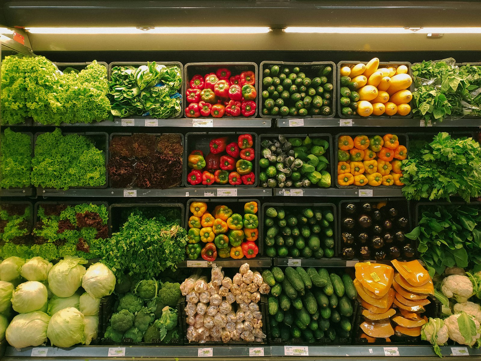 Leaky Gut: Benefits & Side Effects