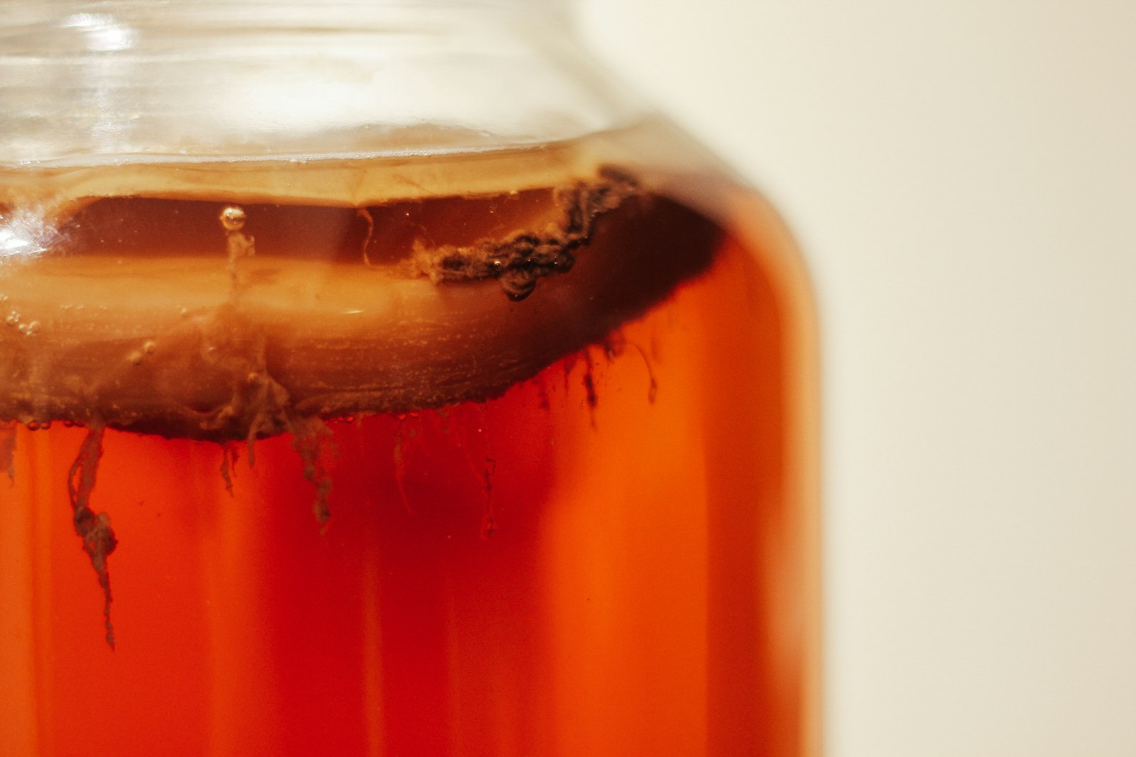 Slippery Elm: Benefits & Side Effects