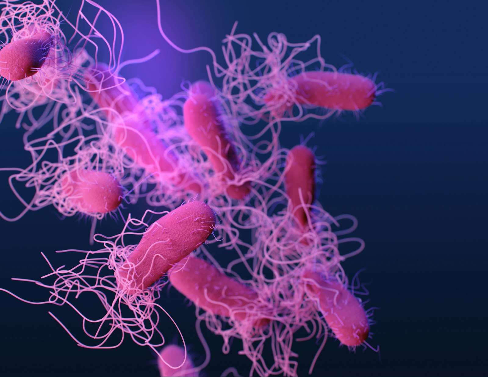 Soluble Vs Insoluble Fiber: Benefits & Side Effects